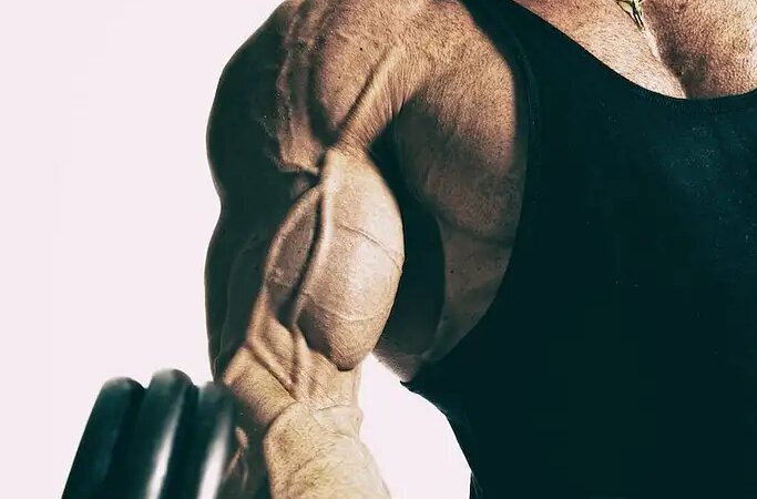 A muscular bicep lifting a dumbbell